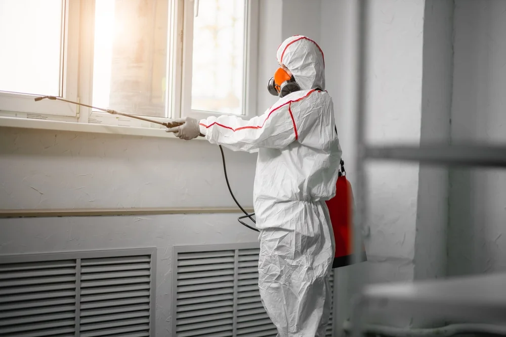 Professional mold remediation services in Minturn, CO